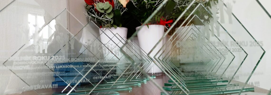 Pamětní plakety Dobrovolník roku