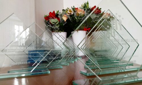 Pamětní plakety Dobrovolník roku