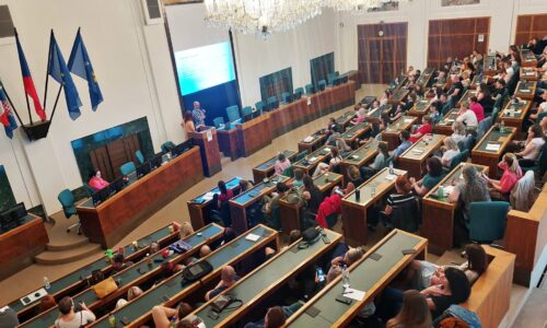 školení multidisciplinárního týmu na téma nových trendech psychomoduláčních látek